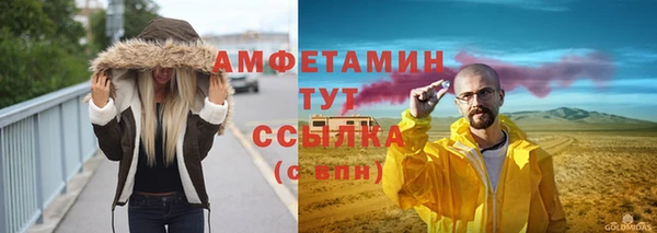 дмт Каменка