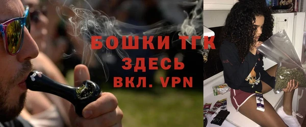 винт Карпинск