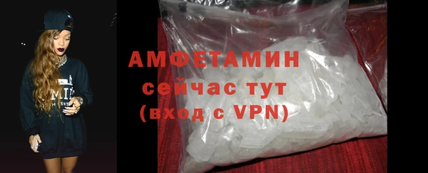 дмт Каменка