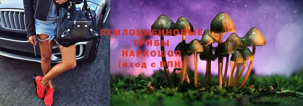 дмт Каменка