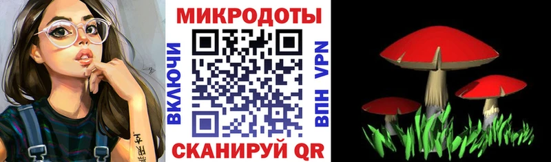 Галлюциногенные грибы мицелий где купить наркотик Касли